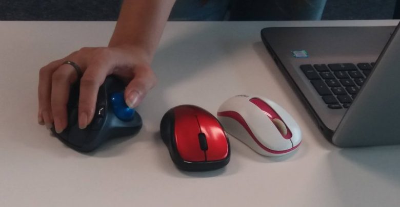 What is the Most Common Pointing Device on Laptops?